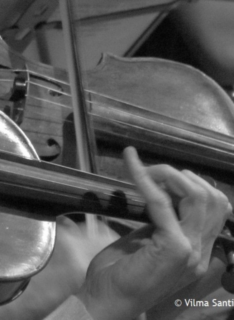 Canon en D para Casamientos