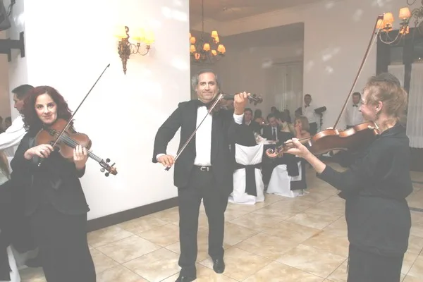 Violines para el vals