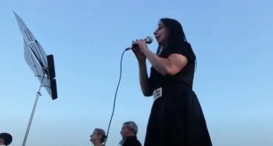 Cantante para Fiestas