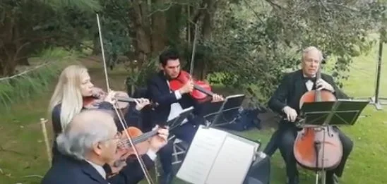 Violinistas para Casamientos