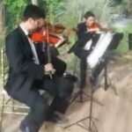 Viva la Vida - Ceremonia - Cuarteto de cuerdas para bodas