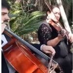 Happy together - Casamientos