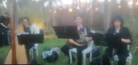 Músicos para Vals de Bodas