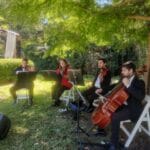 Músicos en vivo para Recepciones