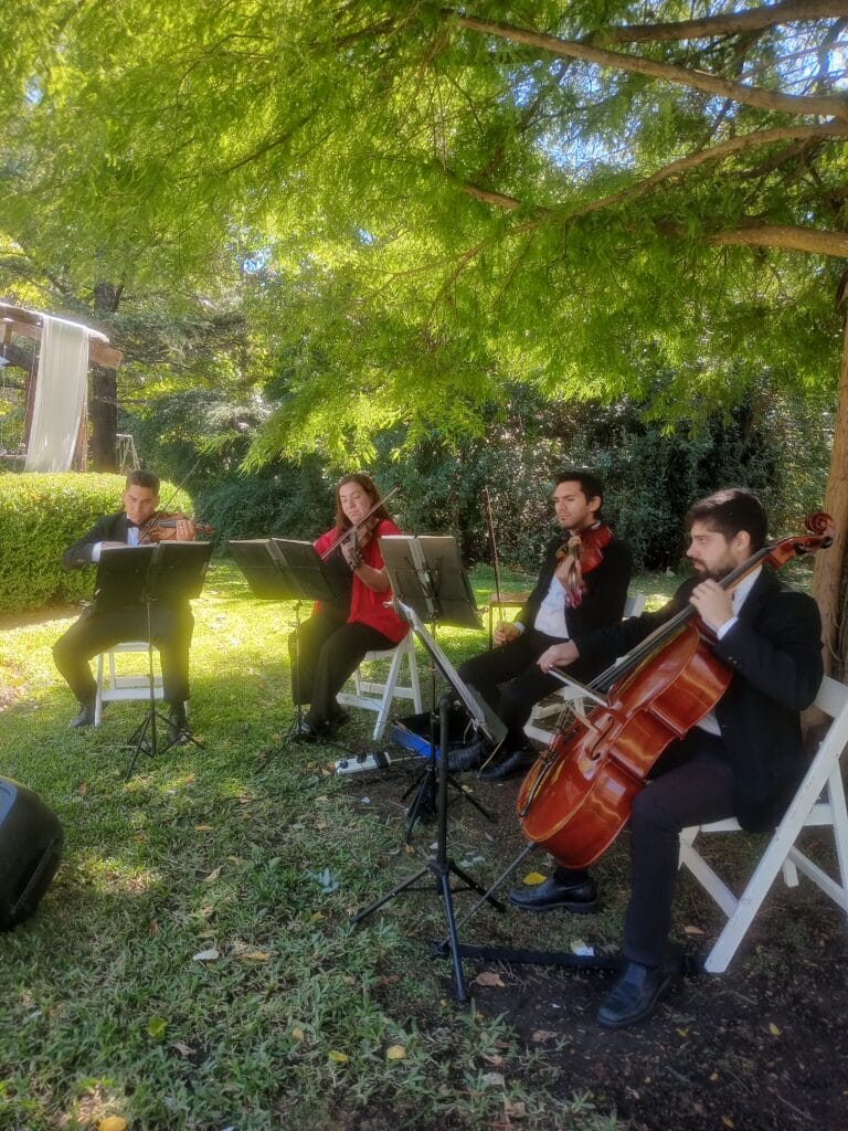 Músicos en vivo para Recepciones