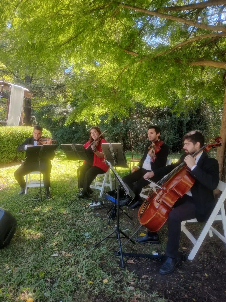 Músicos en vivo para Recepciones