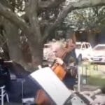Músicos para Recepción y Cocktail